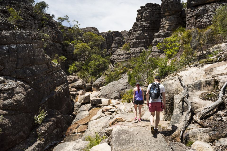 From Melbourne: Grampians National Park & Kangaroos - Important Information