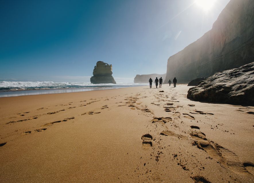 From Melbourne: LGBTQ+ Great Ocean Road Private Day Tour - Important Information