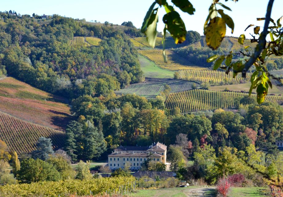 From Milan: Pavia & Oltrepò Pavese Private Day Trip With Lunch - Savoring Local Wines