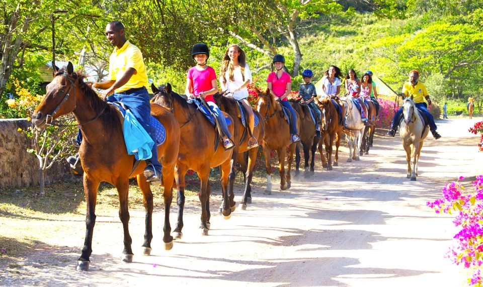 From Montego Bay: Horseback Riding and Swimming Trip - English-Speaking Guide Assistance