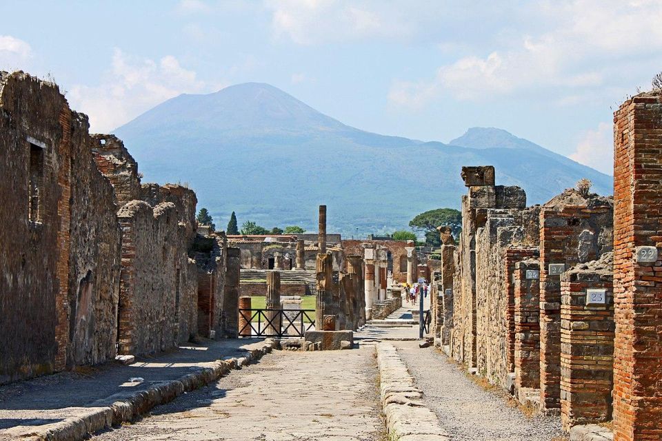 From Naples: Pompeii and Vesuvius Day Tour - Visiting Mount Vesuvius