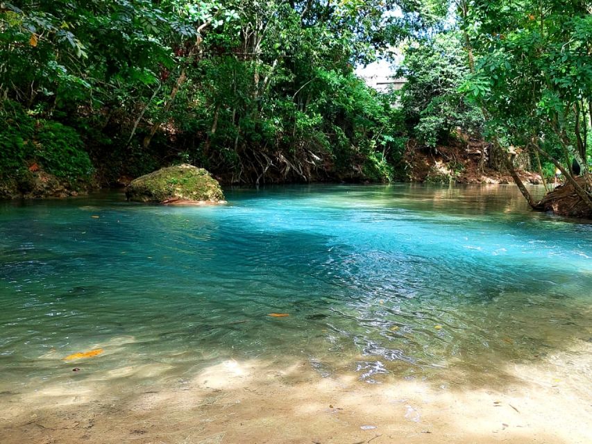 From Ocho Rios: Dunn's River Falls & Reggae Hill Tour - Reggae Hill Experiences