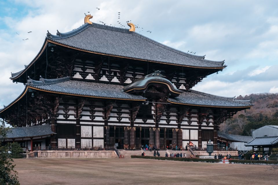 From Osaka: 10-hour Private Custom Tour to Nara - Professional Driver and Vehicle