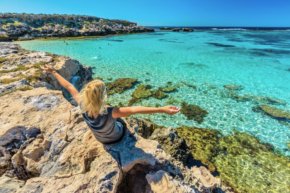 From Perth or Fremantle: Rottnest Island Ferry and Bus Tour - Important Information