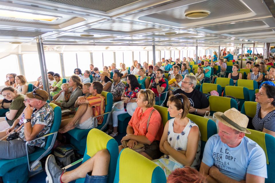 From Piran: Venice Catamaran Crossing One-Way or Round-Trip - Luggage and Pets