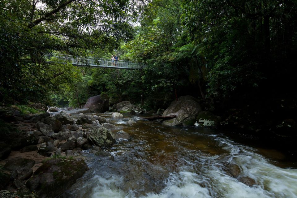 From Port Douglas: Daintree and Mossman Gorge Day Tour - Directions