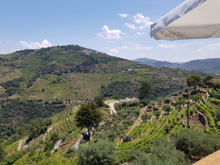 From Porto: Douro Valley 3 Vineyards Tour With Lunch - Important Information