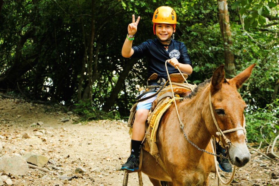 From Puerto Vallarta & Nuevo Vallarta: Canopy Zipline Tour - Mule Ride to the Top