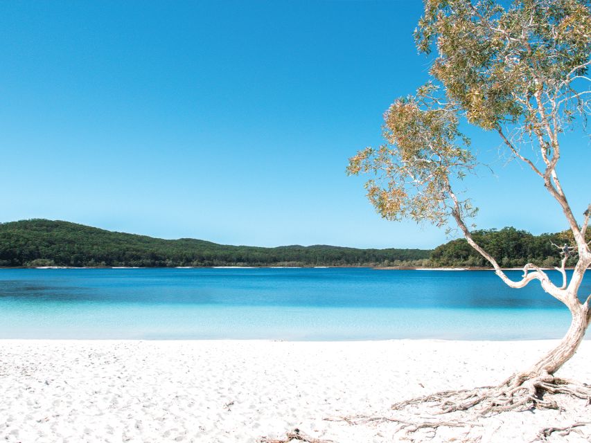 From Rainbow Beach: Kgari, Fraser Island Two-Day Coach Tour - Inclusions