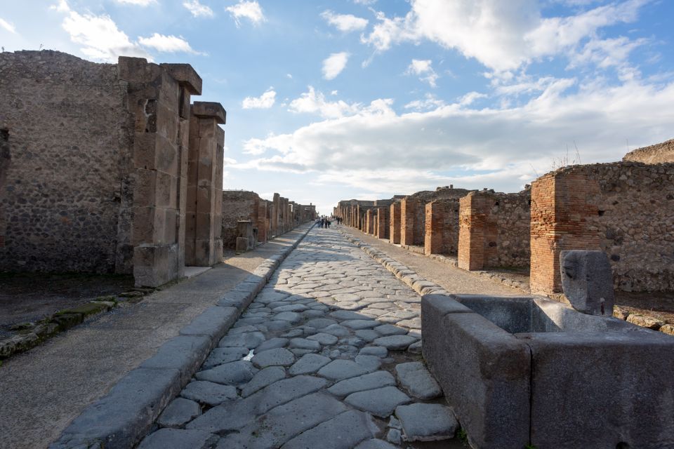 From Rome: Round-Trip Transfer to Pompeii and Its Ruins - Exclusions