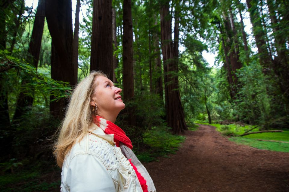 From San Francisco: Muir Woods Redwood Forest Tour - Muir Woods Exploration