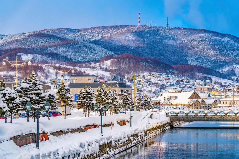 From Sapporo: 10-hour Customized Private Tour to Otaru - Inclusions