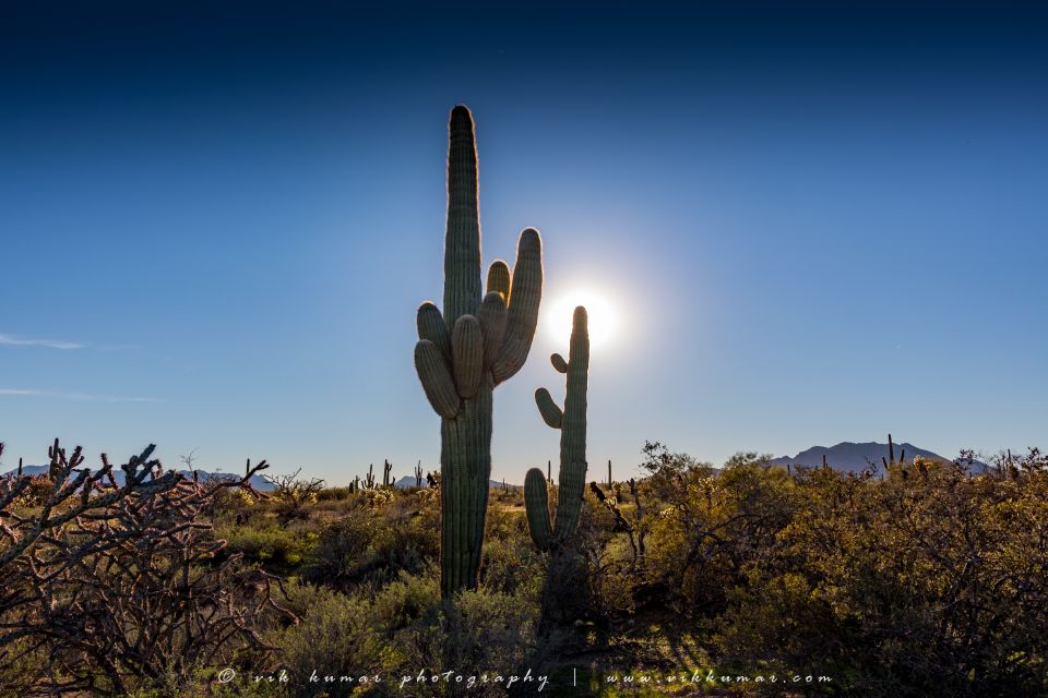 From Scottsdale: Sonoran Desert & Tonto National Forest Trip - Inclusions and Exclusions