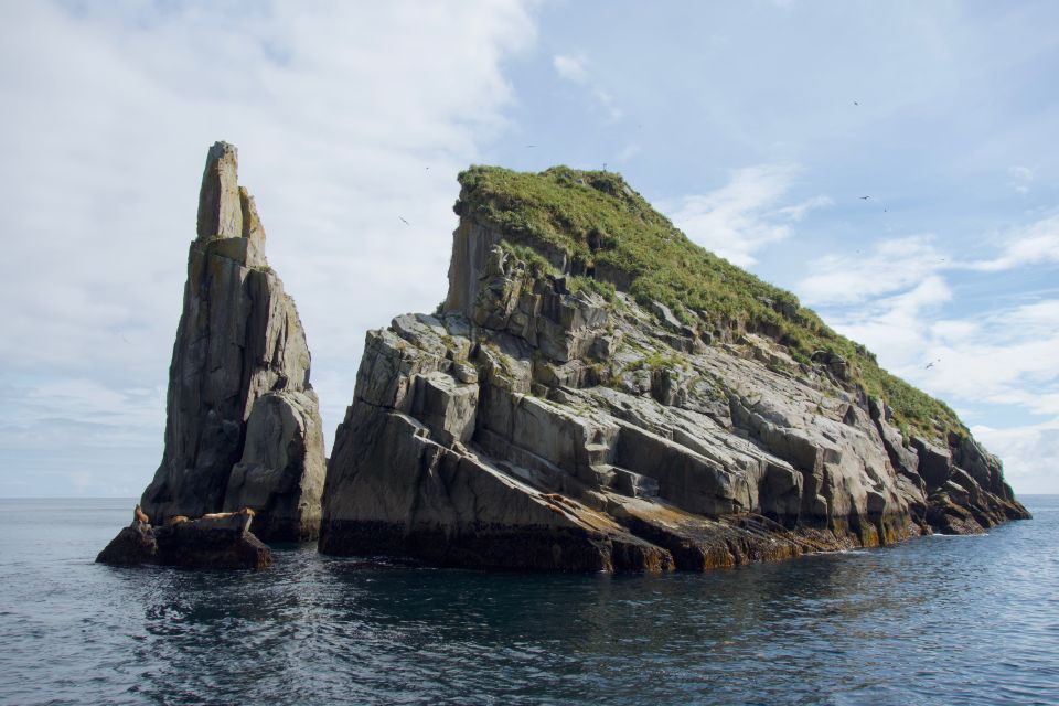 From Seward: Kenai Fjords National Park Cruise With Lunch - Amenities and Accessibility