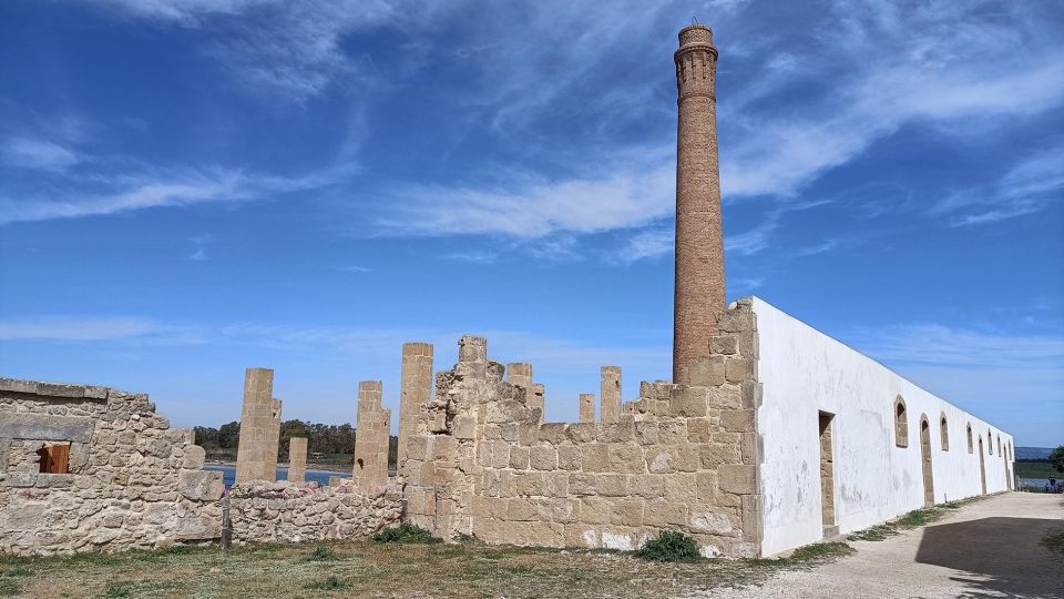 From Siracusa: Vendicari Nature Reserve Guided Tour - Guided Tour Highlights