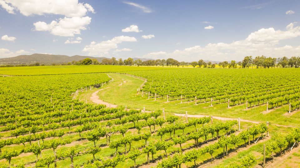 From Sydney: Hunter Valley Wine/Spirit Tasting Tour & Lunch - Inclusions