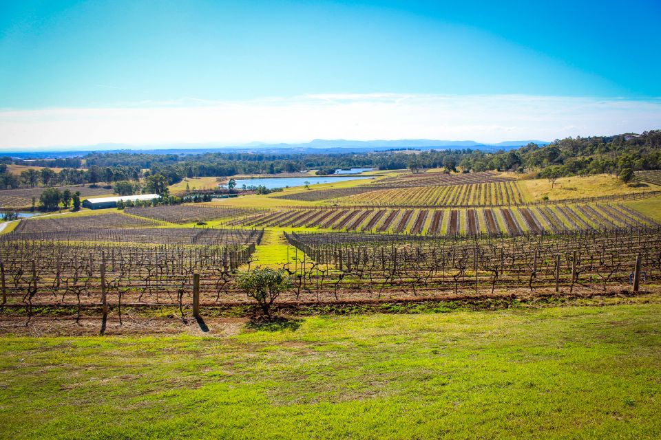 From Sydney: Hunter Valley Wine Tasting Private Day Tour - Pricing