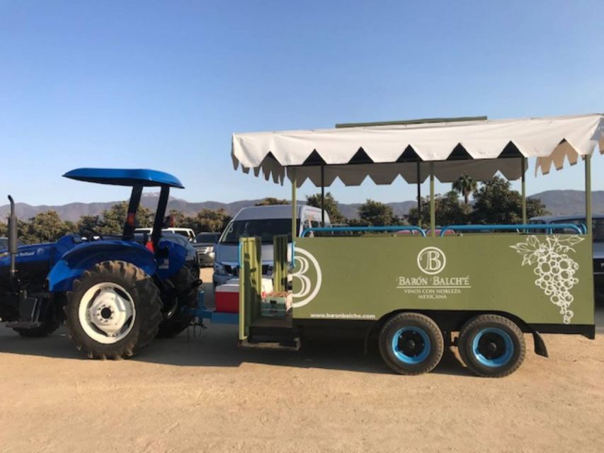 From Tijuana: Valle De Guadalupe Private Winery Tour - Local Tastings