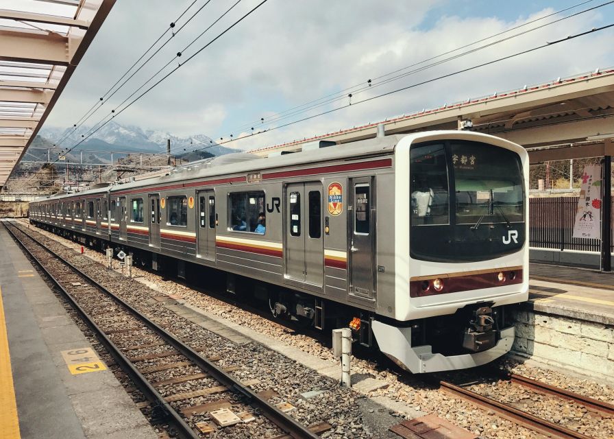 From Tokyo: Private Day Trip to Nikko - Hiking Nikko National Park