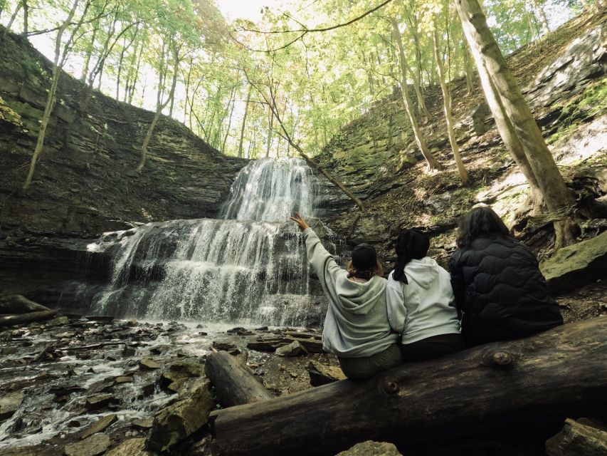 From Toronto: Niagara 3 Hidden Waterfalls Day Tour - Highlights of the Tour