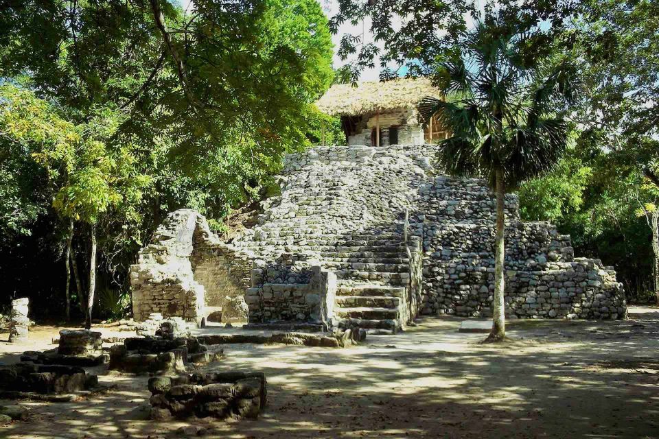 From Tulum: Temazcal & Cenote Private Experience - Luxury Transportation Included