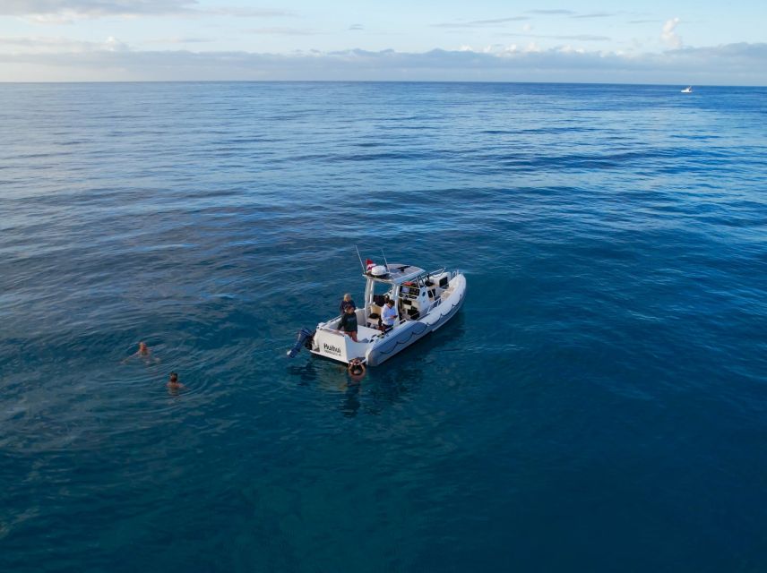 From Waikiki: Turtle Canyons Snorkeling Tour - Boat Cruise and Snorkeling