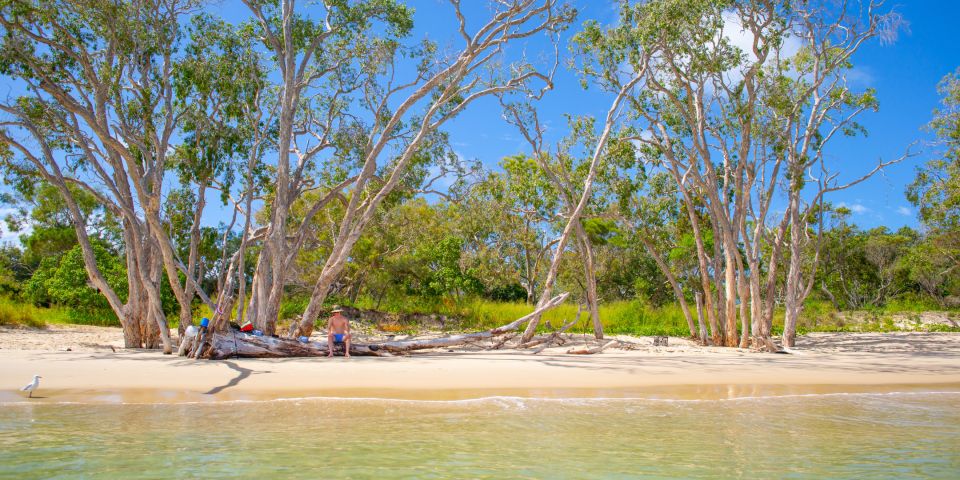 From Yeppoon: Great Keppel Island Snorkeling Trip With Lunch - Customer Reviews