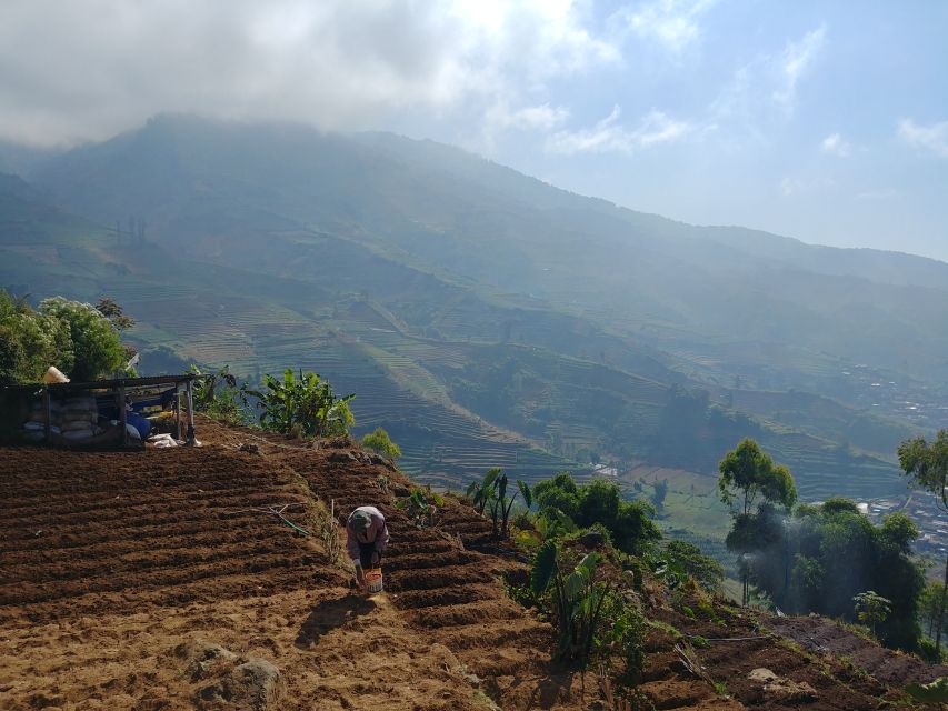 From Yogyakarta: The Beauty Of Dieng Guided Day Tour - Pickup and Transport