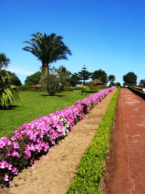 Full-Day 4x4 Nordeste Azores Tour From Ponta Delgada - Highlights and Itinerary