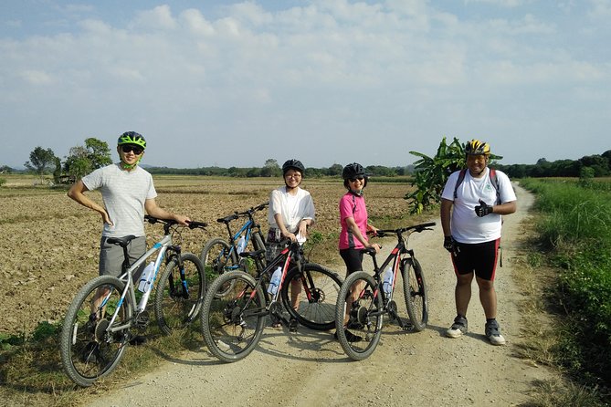 Full Day Cycling Amazing Chiangrai Countryside and the White Temple - Tea Plantation Visit