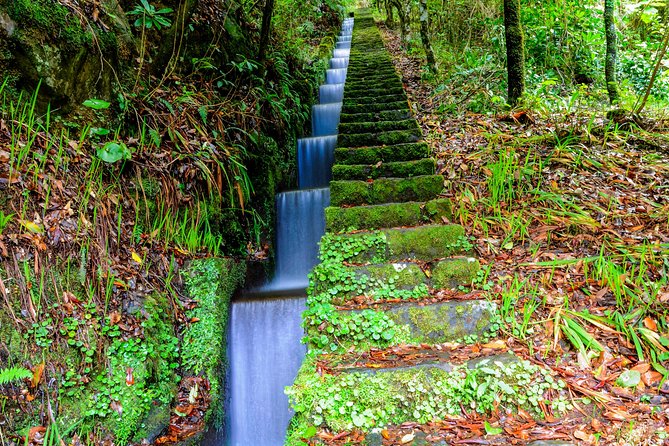 Full Day East of Madeira Tour - Pricing and Guarantee