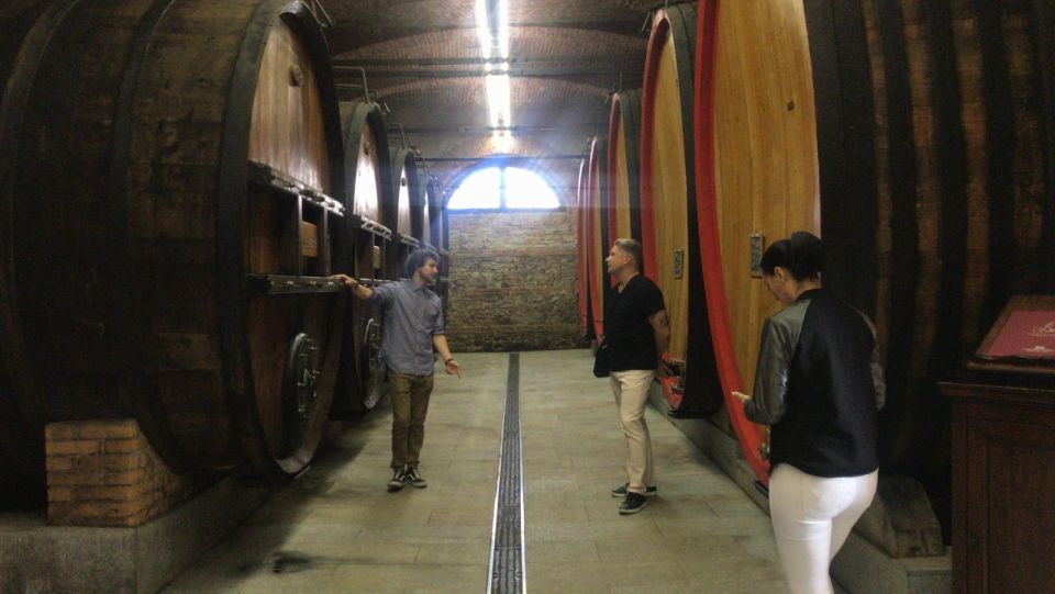 Full-Day Langhe Region Tour With Wine Tasting Experience - Customer Reviews