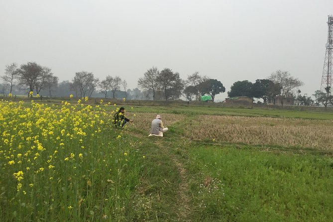 Full Day Lumbini Tour - Booking and Reservation Process