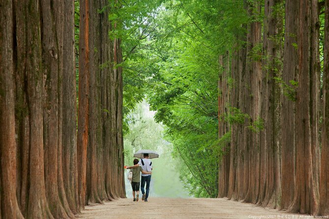 Full Day Private Tour Nami Island, Garden & Petite France - Cancellation Policy