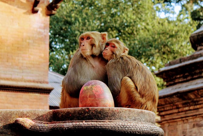Full Day Private Tour of Kathmandu - UNESCO World Heritage Sites - Accessibility Information