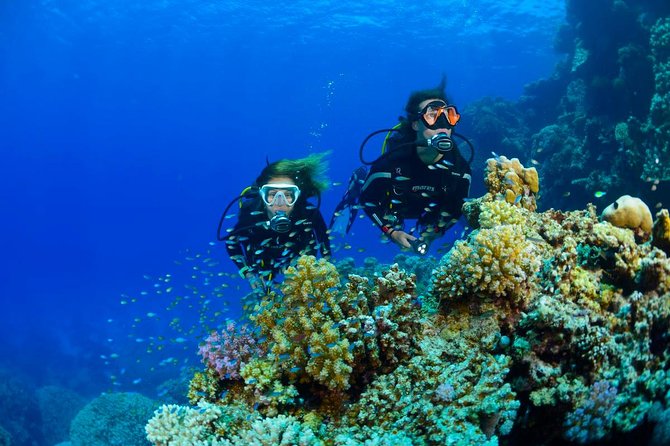 Full-Day Racha Yai Private Scuba Diving Course From Phuket - Cancellation and Weather Policies