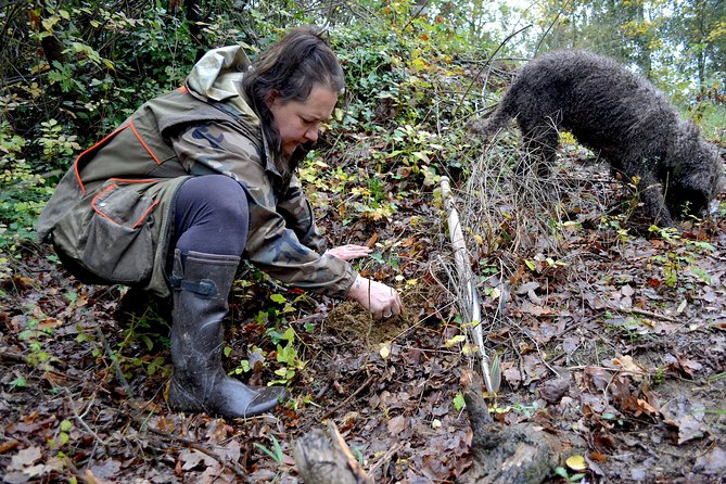 Full-Day Small-Group Truffle Hunting in Tuscany With Lunch - Truffle Hunting in San Miniato