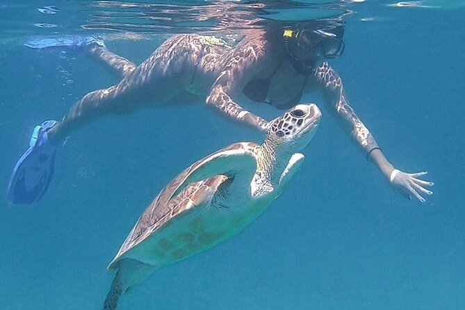 Full-Day Snorkeling Tour to Culebra Island With Lunch - Confirmation and Reservations