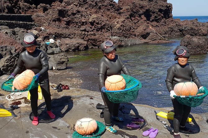 Fully Customizable Private Tour of Jeju Island - Pickup and Start Time