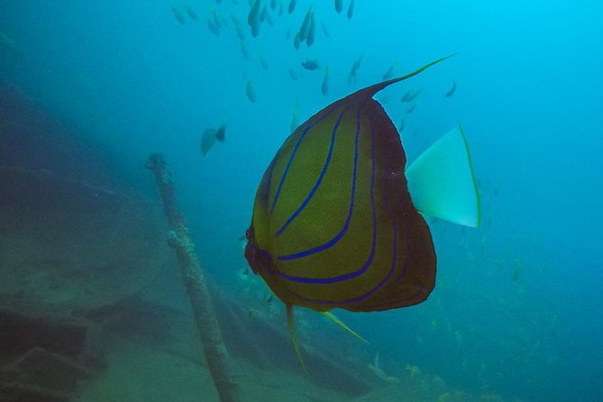 Fun Dives For Certified Divers - Meeting and Pickup Information