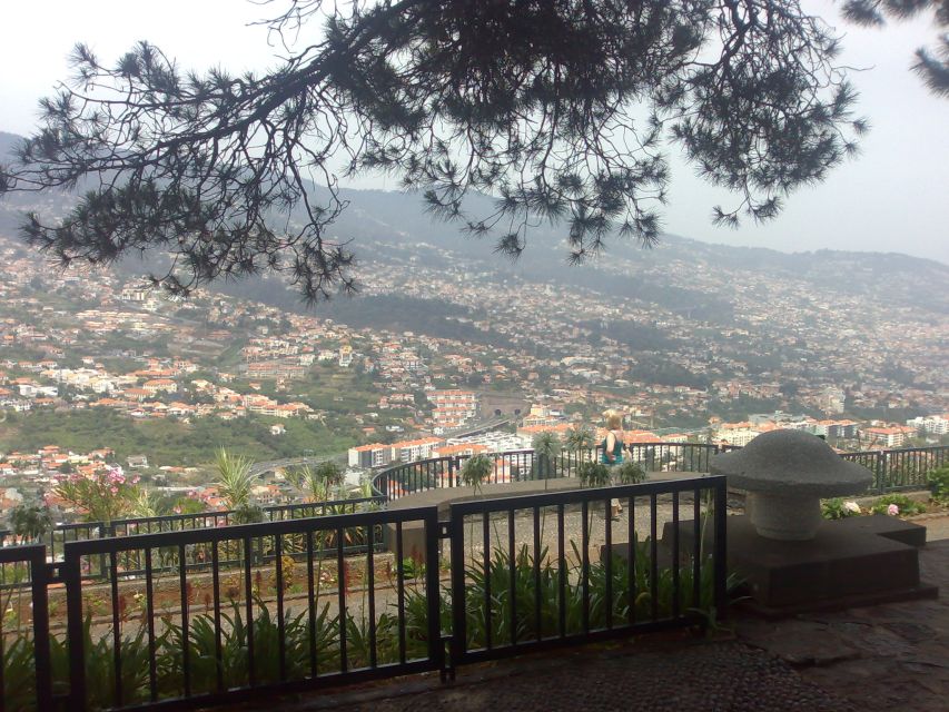 Funchal: Nuns Valley Private Half Day Tour - Mobility Restrictions