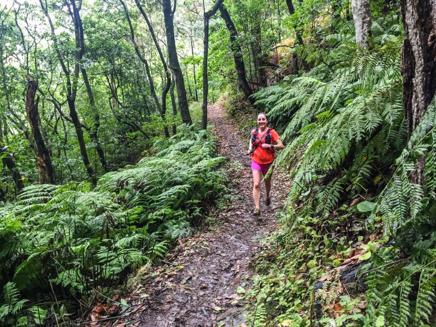 Funchal: Ocean to Mountain Running Tour - Laurissiva Forest