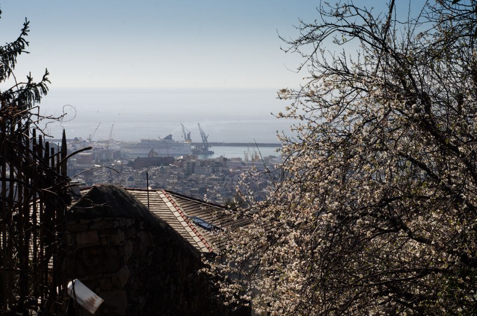 Genoa: Group Walking Photography Tour With Genoese Snack - Guided Photography Instruction