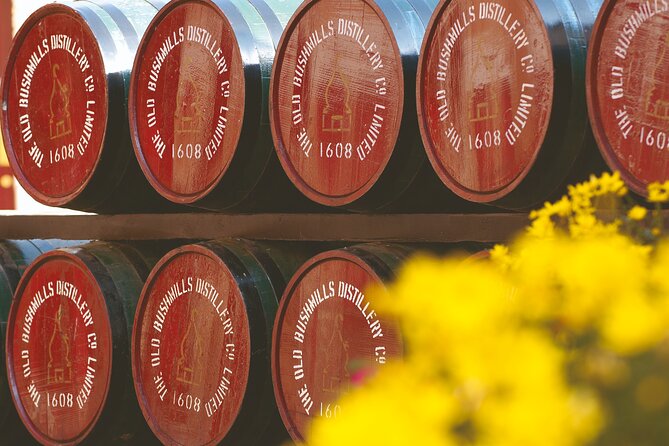 Giants Causeway and Belfast City Murals Tour Inc Game of Thrones Dark Hedges - Giants Causeway