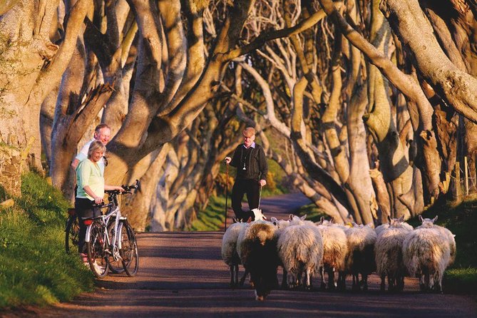 Giants Causeway Day Tour From Dublin - Tour Features and Inclusions