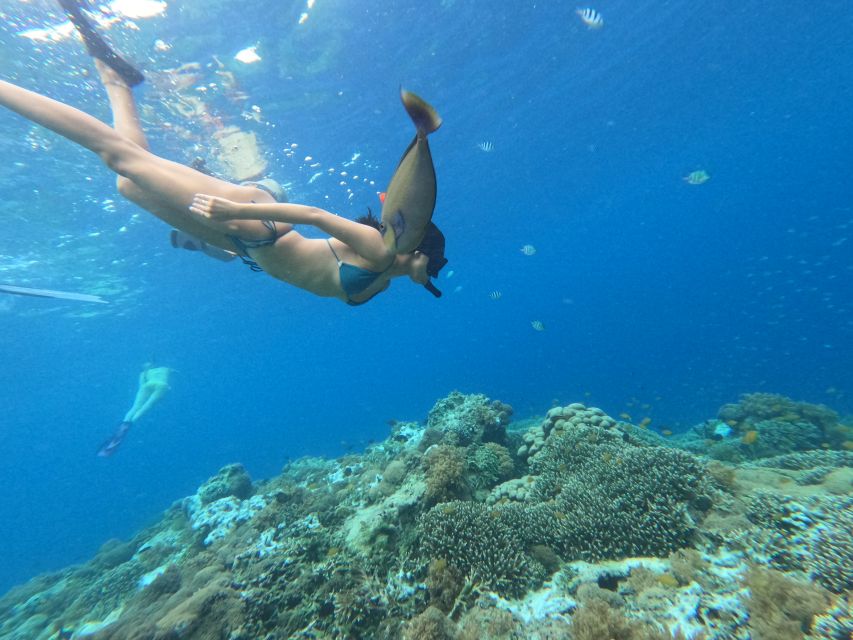 Gili Islands: 2-Hour Snorkel With Gopro Camera & Guide - Highlights of the Snorkeling Tour