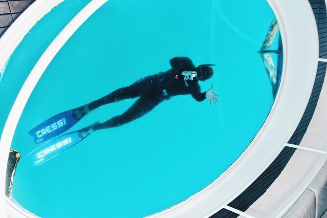 Glass Bottom Boat Tour & Snorkeling in São Miguel, Azores - Participant Requirements