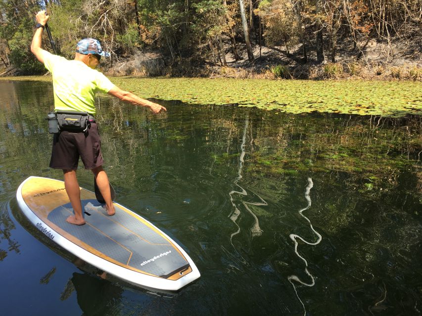 Gold Coast: 2-Hour Standup Paddleboarding Tour & Marine Life - Customer Reviews