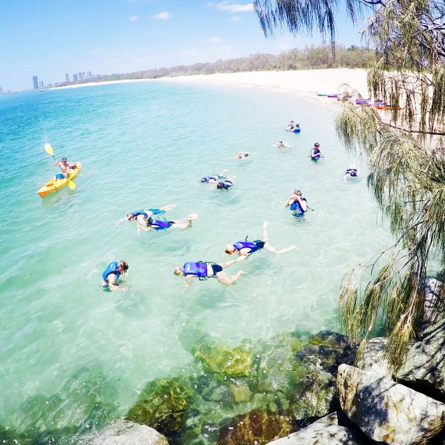 Gold Coast: Kayaking and Snorkeling Guided Tour - Instructor Details