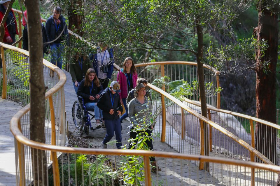 Great Ocean Road: Guided Wildlife Walk That Supports Nature - Logistics and Accessibility Details